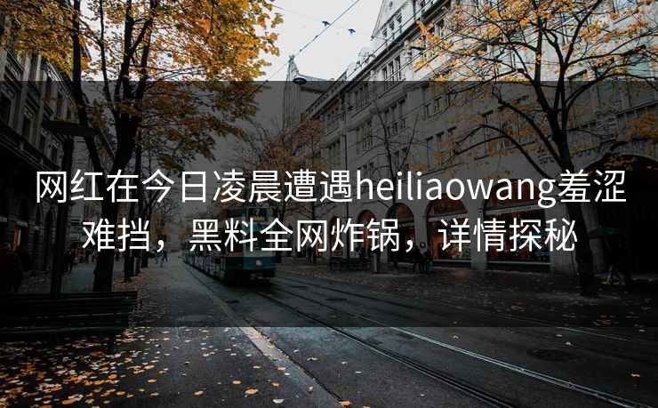 网红在今日凌晨遭遇heiliaowang羞涩难挡，黑料全网炸锅，详情探秘