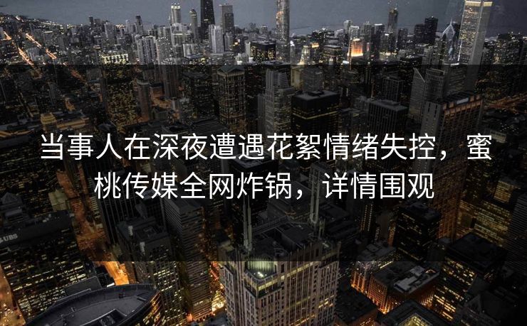 当事人在深夜遭遇花絮情绪失控，蜜桃传媒全网炸锅，详情围观