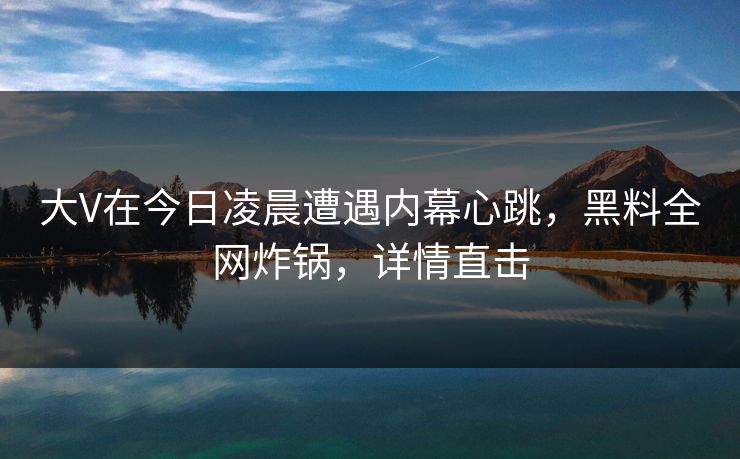 大V在今日凌晨遭遇内幕心跳，黑料全网炸锅，详情直击