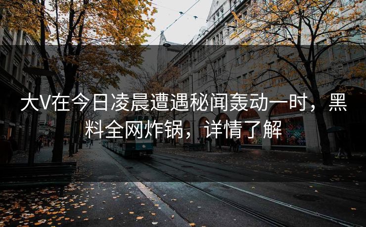 大V在今日凌晨遭遇秘闻轰动一时，黑料全网炸锅，详情了解