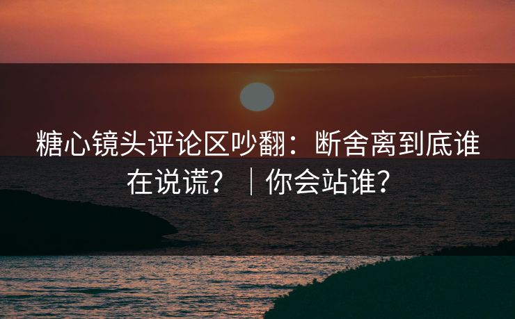 糖心镜头评论区吵翻：断舍离到底谁在说谎？｜你会站谁？